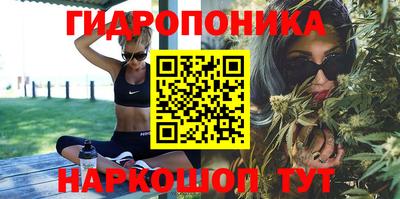 Альфа ПВП Заволжье